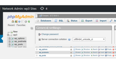 phpmayadmin wordpress